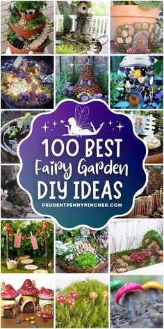 the top 100 best fairy garden diy ideas