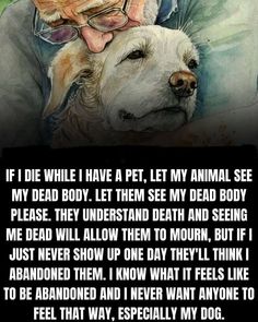 Dog Heaven, My Animal, Dog Info, Cat Quotes