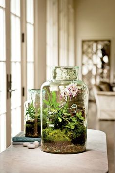 two vases filled with plants on top of a table