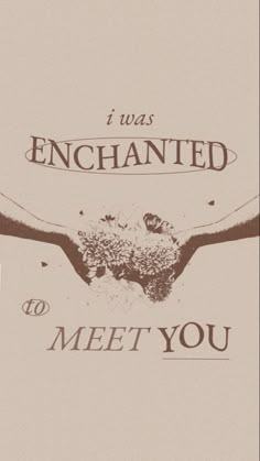 the words i was enchanted to meet you are written in black on a beige background