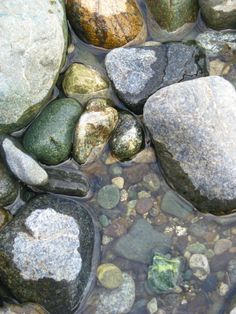 some rocks and water are on the ground