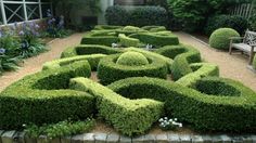 a garden filled with lots of green hedges