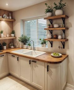 a kitchen with white cabinets and wooden counter tops, plants on shelves above the sink