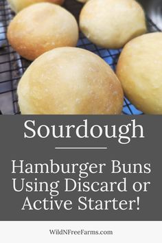 sourdough hamburger buns Sourdough Discard Hamburger Buns Easy, Easy Sourdough Burger Buns, Gluten Free Sourdough Hamburger Buns, Sourdough Discard Buns Burgers, Sourdough Buns Burgers, Pork Sloppy Joes, Buns No Yeast, Sourdough Burger Buns, Sourdough Burger