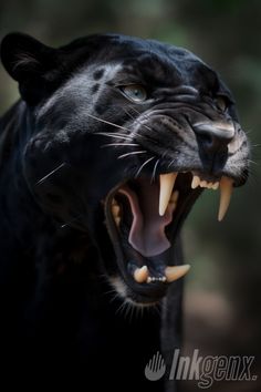 a black panther with its mouth open showing teeth