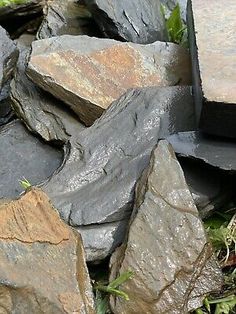 some rocks and grass on the ground