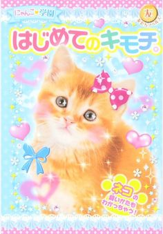 an orange cat with a pink bow on it's head is featured in the japanese magazine