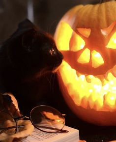 a black cat sitting next to a pumpkin with its face carved like a jack - o'- lantern