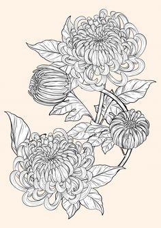 an ink drawing of flowers with leaves on the stems and in the middle, black and white