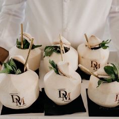 four small white vases with green plants in them