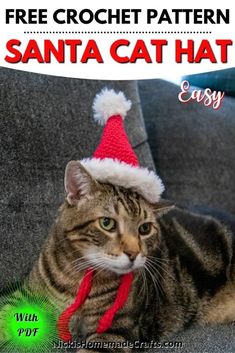 a cat wearing a santa hat sitting on top of a couch with the caption free crochet pattern