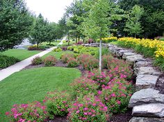 a garden filled with lots of flowers next to a lush green field