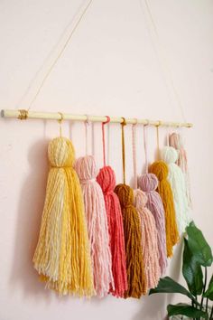 multicolored yarn tassels hanging on wall next to potted green plant