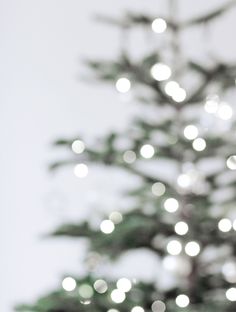 a close up of a small christmas tree with lights on it's branches in front of a white wall