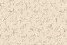 an image of leaves on a beige background