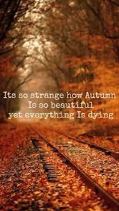 a train track with leaves on it and the words, its so strange how autumn is so beautiful yet everything is dying