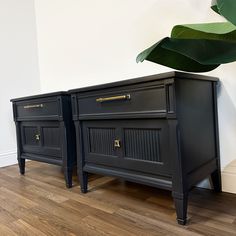 two black dressers sitting on top of a wooden floor next to a green plant