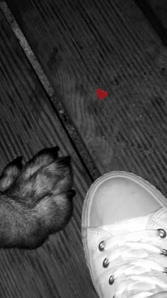 a black and white photo of a cat next to a person's shoe