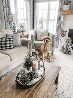 a dog is sitting in the middle of a living room with couches and christmas decorations