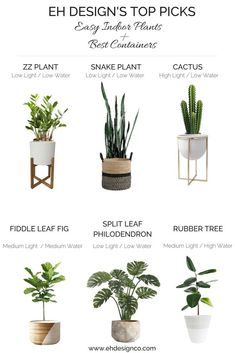 the different types of house plants in pots and planters are shown on this page