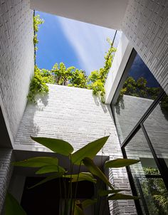 the interior of a building with plants growing out of it