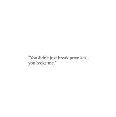 the words you didn't just break promises, you broke me