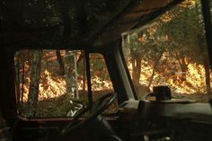 the view from inside a vehicle looking out at trees