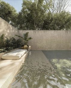 an empty pool surrounded by trees and plants