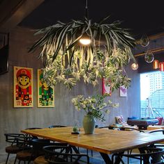 a dining room table with chairs and a potted plant hanging from the ceiling