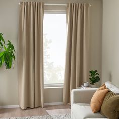 a living room with a couch, window and potted plant