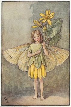 Illustration of the Celandine Fairy from Flower Fairies of the Spring. A girl fairy stand full face holding a bunch of celandines.  										   																										Author / Illustrator  								Cicely Mary Barker 동화 삽화, Spring Fairy