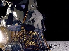 an astronaut standing on the moon next to a space shuttle with plants growing out of it