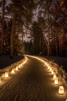 many lit candles are lined up along a path in the woods