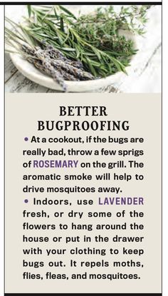 a recipe for better bugproofing with herbs in the bowl and on top of it