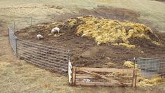 sheep are grazing in an open field next to a fence and dirt mound on the ground