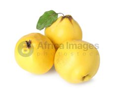 three yellow apples with green leaves on white background