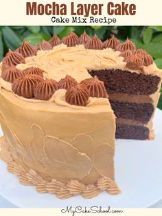 a chocolate layer cake on a white plate with a slice missing from it and the words mocha layer cake overlay