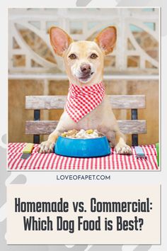 a dog sitting at a table with food in front of it and the words homemade vs commercial which dog food is best?