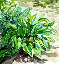 a watercolor painting of a plant with green leaves