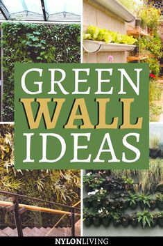 the words green wall ideas are overlaid by images of plants and other outdoor things