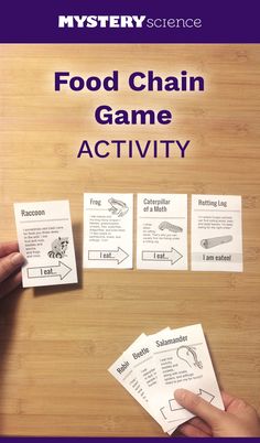 the food chain game activity is shown with four cards and two hands holding one piece of paper