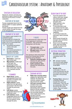 the cardiovascular system and anatomy & physioly poster is shown