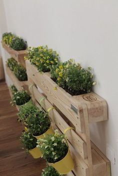 several potted plants are lined up on a wooden bench