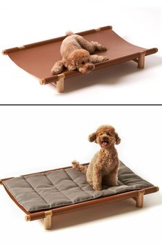 Berberé Foldable Travel Dog Bed Furniture For Dogs, Dog Furniture Design, Indestructible Dog Bed, Pet Bed Ideas, Minimalistic Dog Bed, Luxurious Dog Bed, Minimalist Pet Bed, French Mattress Dog Bed, Dog Bed Ideas