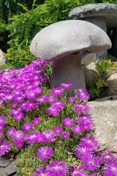 pink flowers surround a stone mushroom shaped outdoor path light