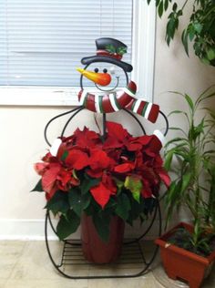 a snowman sitting on top of a potted plant with poinsettis