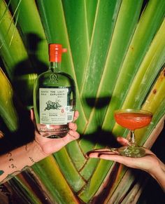 two hands holding up a bottle of alcohol next to a glass with a drink in it