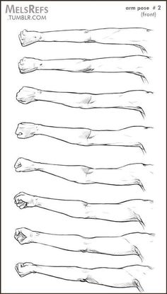 an image of different types of legs in black and white poster by person, anatomy drawing,