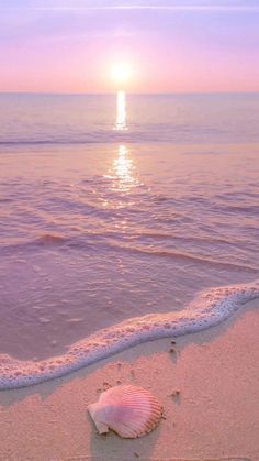 the sun is setting over the ocean with a shell in the sand on the beach