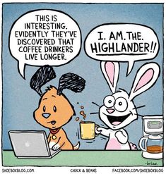 an image of a cartoon bunny and rabbit with coffee in front of laptops, talking to each other